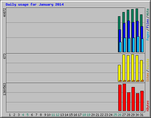 Daily usage for January 2014